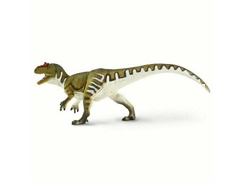 Allosaurus (cm 24)