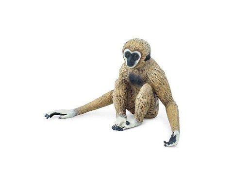 Gibbone
