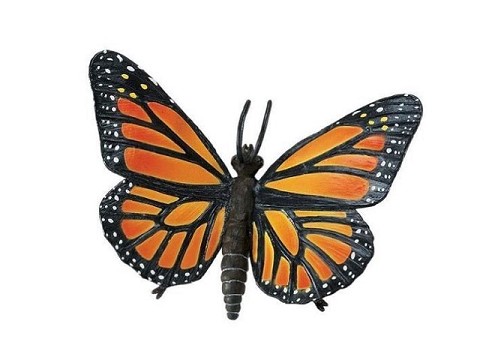 Farfalla Monarch