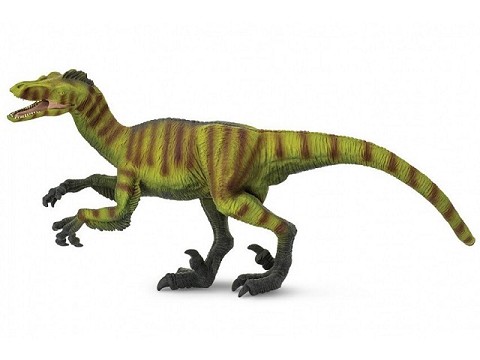 Velociraptor Velociraptor