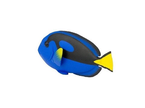 Blue Tang Blue Tang