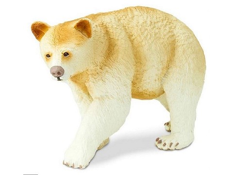 Orso di Kermode Orso di Kermode