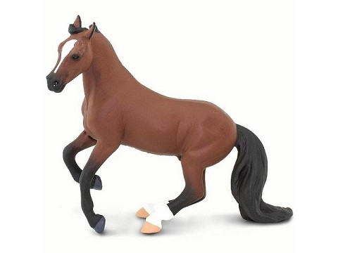 Cavallo Purosangue Inglese Cavallo Purosangue Inglese
