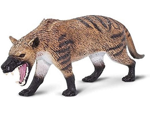 Hyaenodon Gigas Hyaenodon Gigas