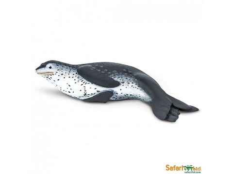 Foca Leopardata Foca Leopardata
