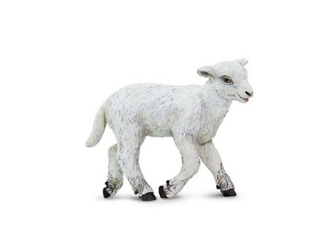 Agnello Agnello