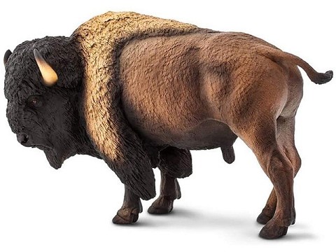 Bisonte Bisonte