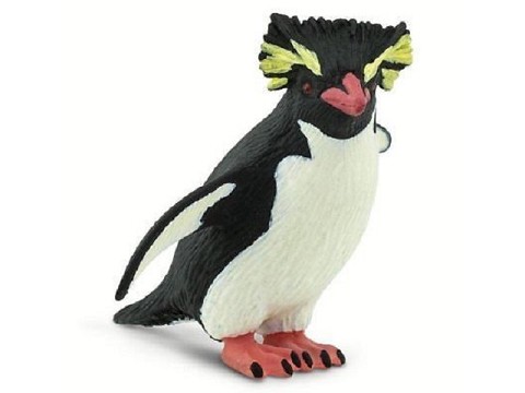 Pinguino Rockhopper Pinguino Rockhopper