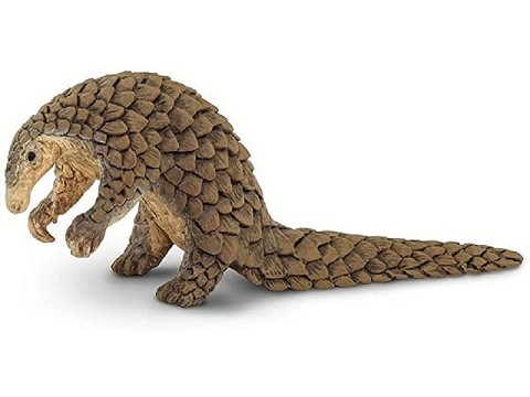 Pangolino Pangolino