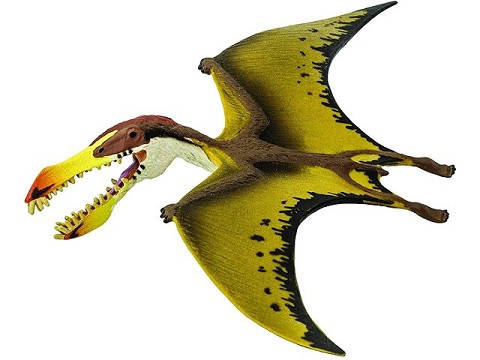 Pterosaur Pterosaur