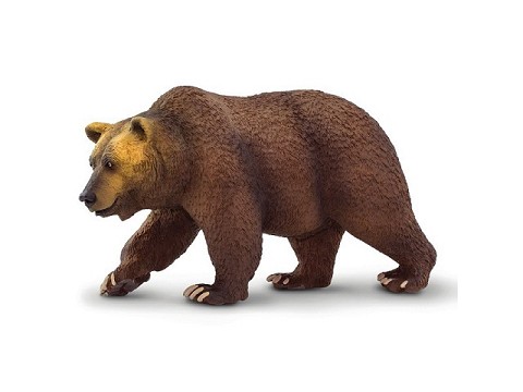 Orso Grizzly Orso Grizzly