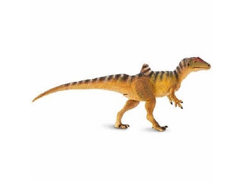 Concavenator Concavenator
