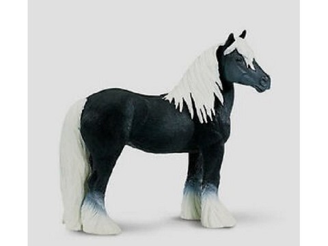 Gypsy Vanner Gypsy Vanner