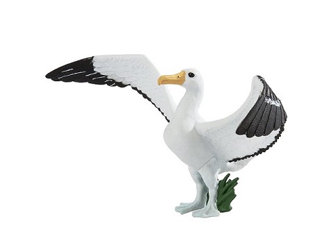 Albatros gigante Albatros gigante