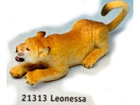 Leonessa Leonessa