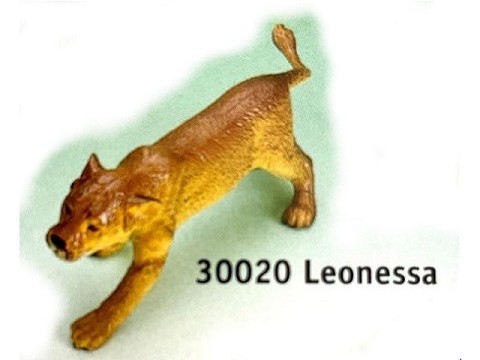 Leonessa Leonessa