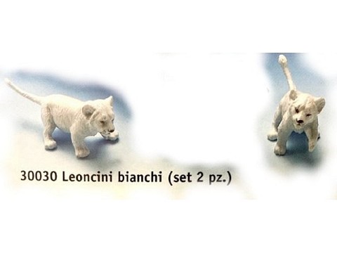 Leoncini bianchi Leoncini bianchi