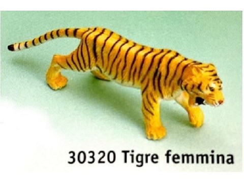 Tigre femmina Tigre femmina
