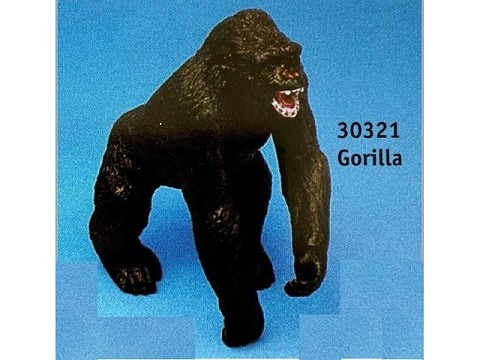 Gorilla Gorilla