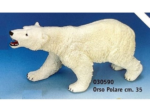 Orso polare Orso polare