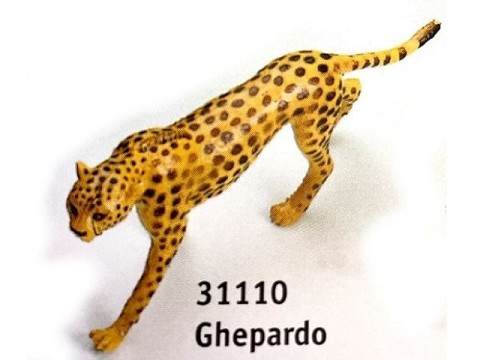 Ghepardo Ghepardo