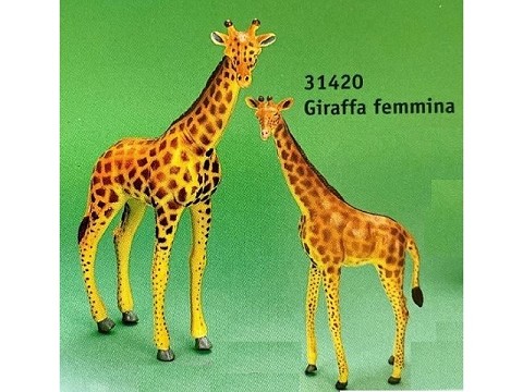 Giraffa femmina Giraffa femmina