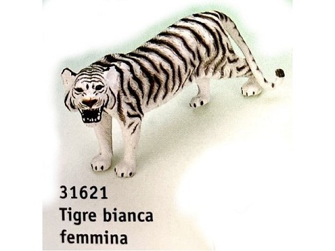 Tigre bianca femmina Tigre bianca femmina
