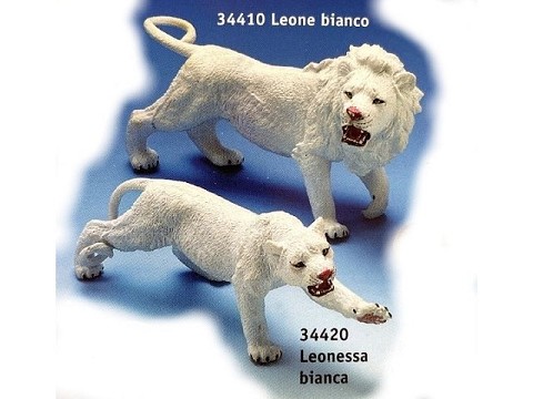 Leone bianco Leone bianco