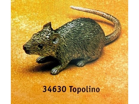 Topolino Topolino