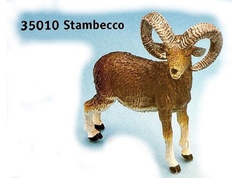 Stambecco Stambecco