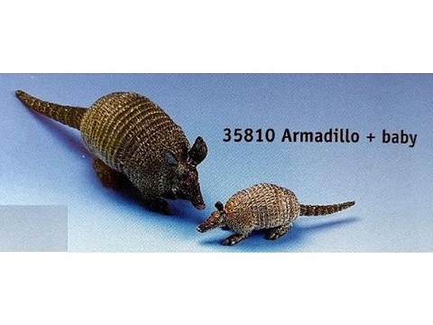 Armadillo con baby Armadillo con baby