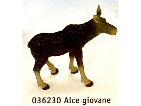 Alce giovane Alce giovane