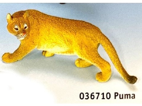 Puma Puma