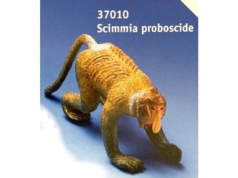 Scimmia con proboscide Scimmia con proboscide