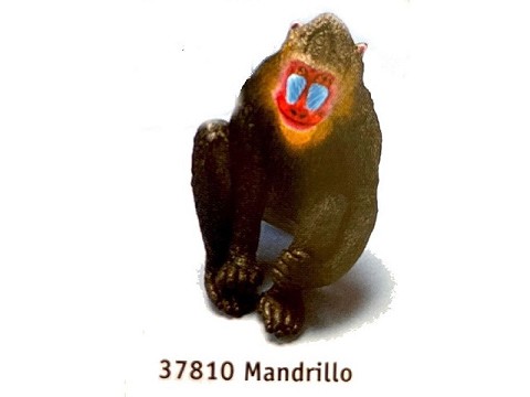 Mandrillo Mandrillo
