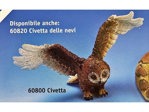 Civetta Civetta