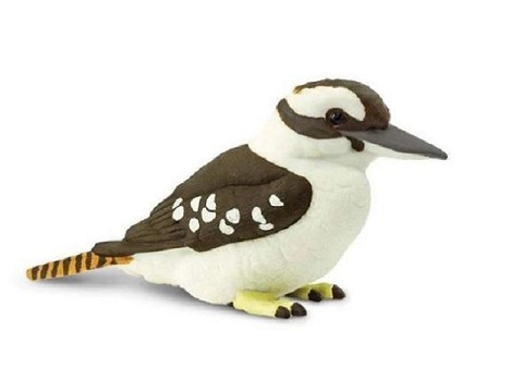 Kookaburra - Martin Pescatore Australiano Kookaburra - Martin Pescatore Australiano