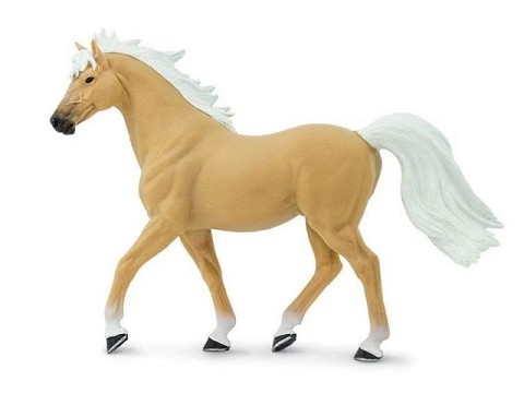 Stallone Mustang Palomino Stallone Mustang Palomino