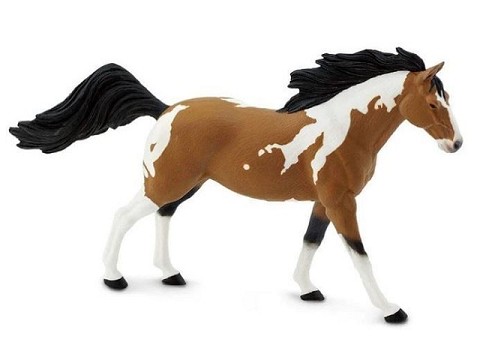 Stallone Pinto Mustang Stallone Pinto Mustang