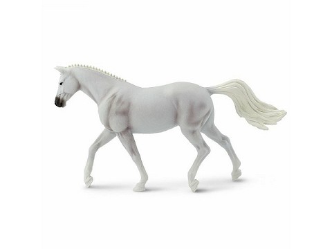 Cavalla Trakehner Cavalla Trakehner