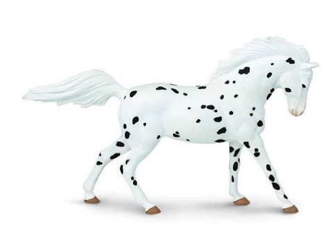 Cavallo Knabstrupper Cavallo Knabstrupper