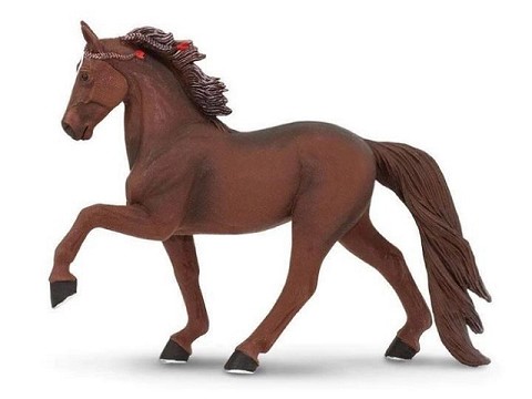 Cavallo Tennessee Cavallo Tennessee