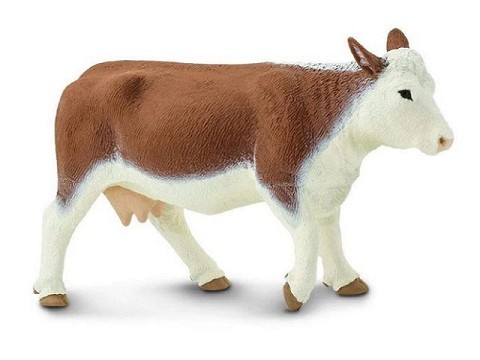 Mucca Hereford Mucca Hereford
