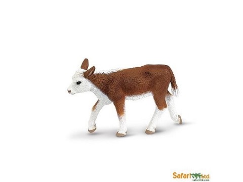 Vitello Hereford Vitello Hereford