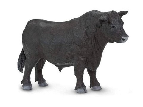 Toro Angus Toro Angus