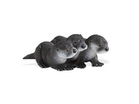 Cuccioli di Lontra Cuccioli di Lontra