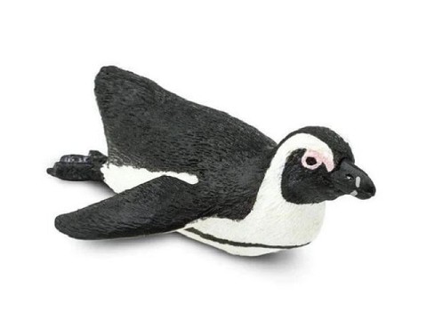 Pinguino Sudafricano Pinguino Sudafricano