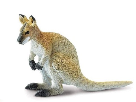 Wallaby Wallaby