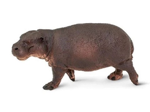 Ippopotamo Pigmeo Ippopotamo Pigmeo