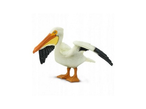 Pellicano Pellicano